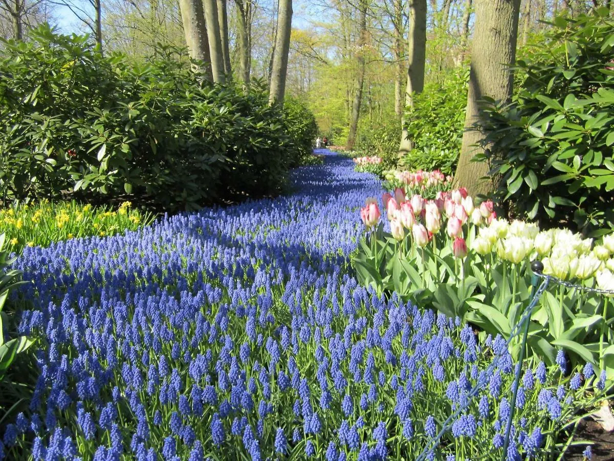 Ferienwohnung Jabaki Garden House Hoofddorp